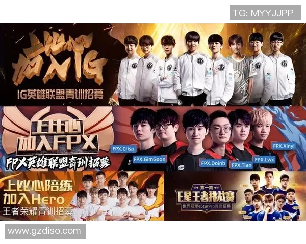 王者荣耀盛宴：深入解析IG战队的游戏节奏与战术布局