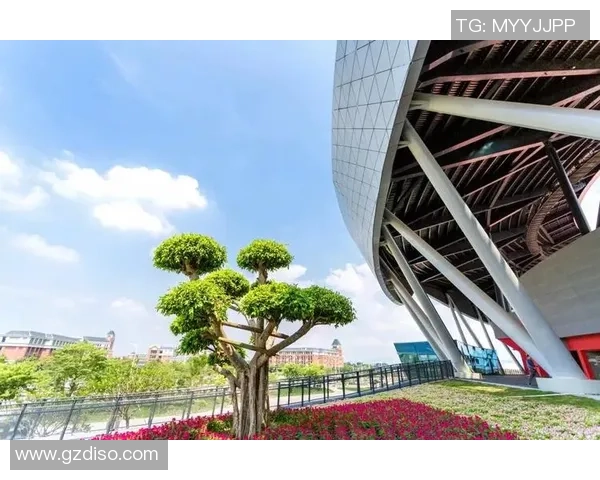 足球花篮的魅力与文化传承探讨以及对未来发展的展望